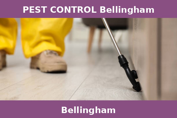 PEST CONTROL Bellingham